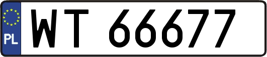 WT66677