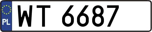 WT6687