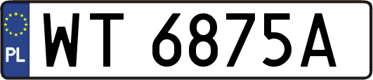 WT6875A
