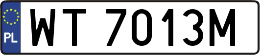WT7013M