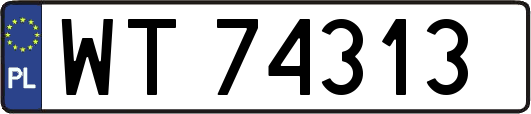 WT74313