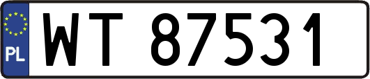 WT87531