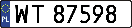 WT87598