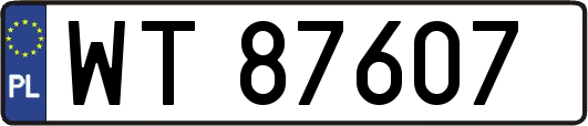WT87607