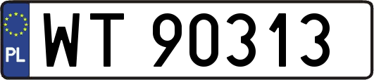 WT90313
