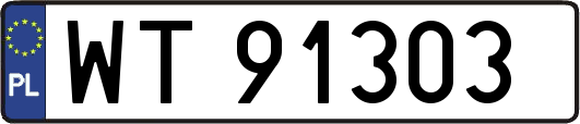 WT91303