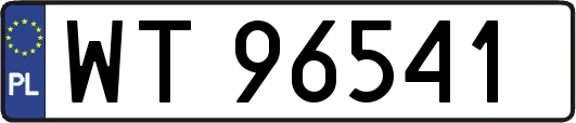 WT96541