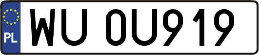 WU0U919