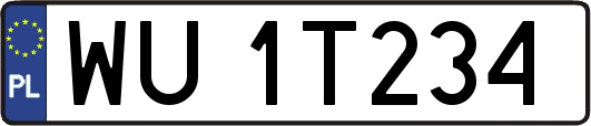 WU1T234
