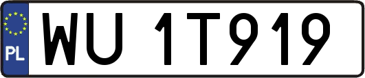 WU1T919
