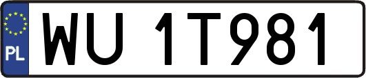 WU1T981