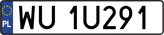 WU1U291