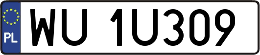 WU1U309
