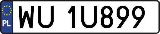 WU1U899