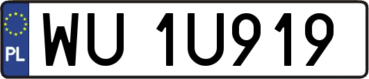 WU1U919