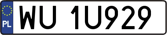 WU1U929