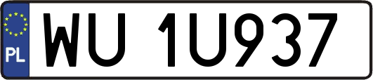 WU1U937