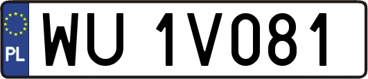 WU1V081