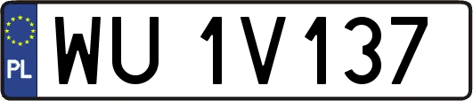 WU1V137