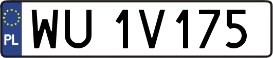 WU1V175