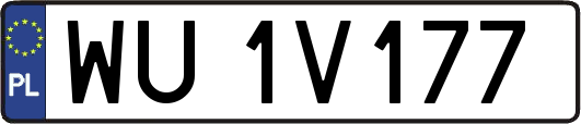 WU1V177