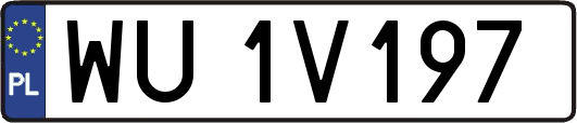 WU1V197