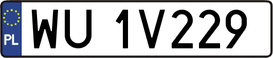 WU1V229