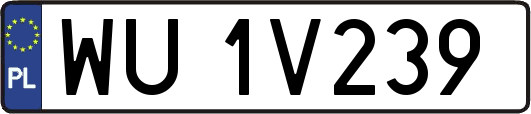 WU1V239