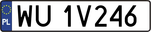 WU1V246
