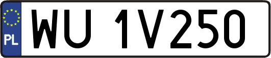 WU1V250