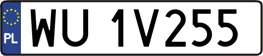 WU1V255