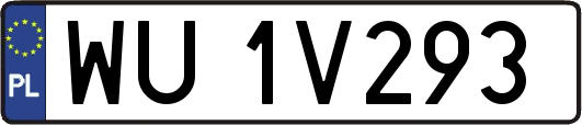 WU1V293
