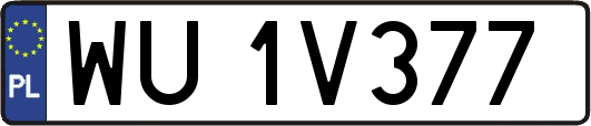 WU1V377