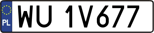 WU1V677
