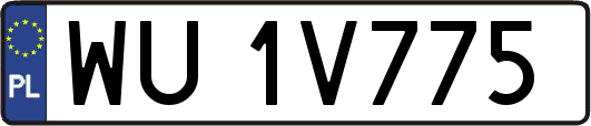 WU1V775