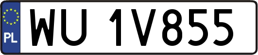 WU1V855