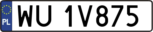 WU1V875