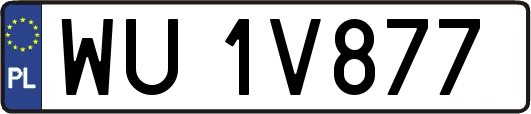 WU1V877