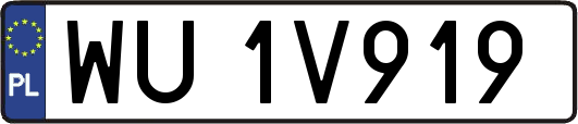 WU1V919