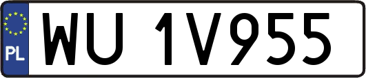 WU1V955