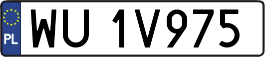 WU1V975