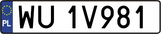 WU1V981