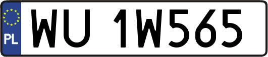 WU1W565