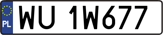 WU1W677
