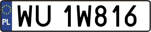 WU1W816