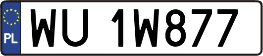 WU1W877