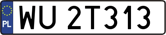 WU2T313