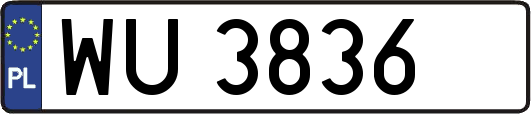 WU3836