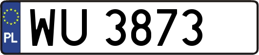 WU3873