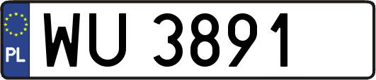 WU3891